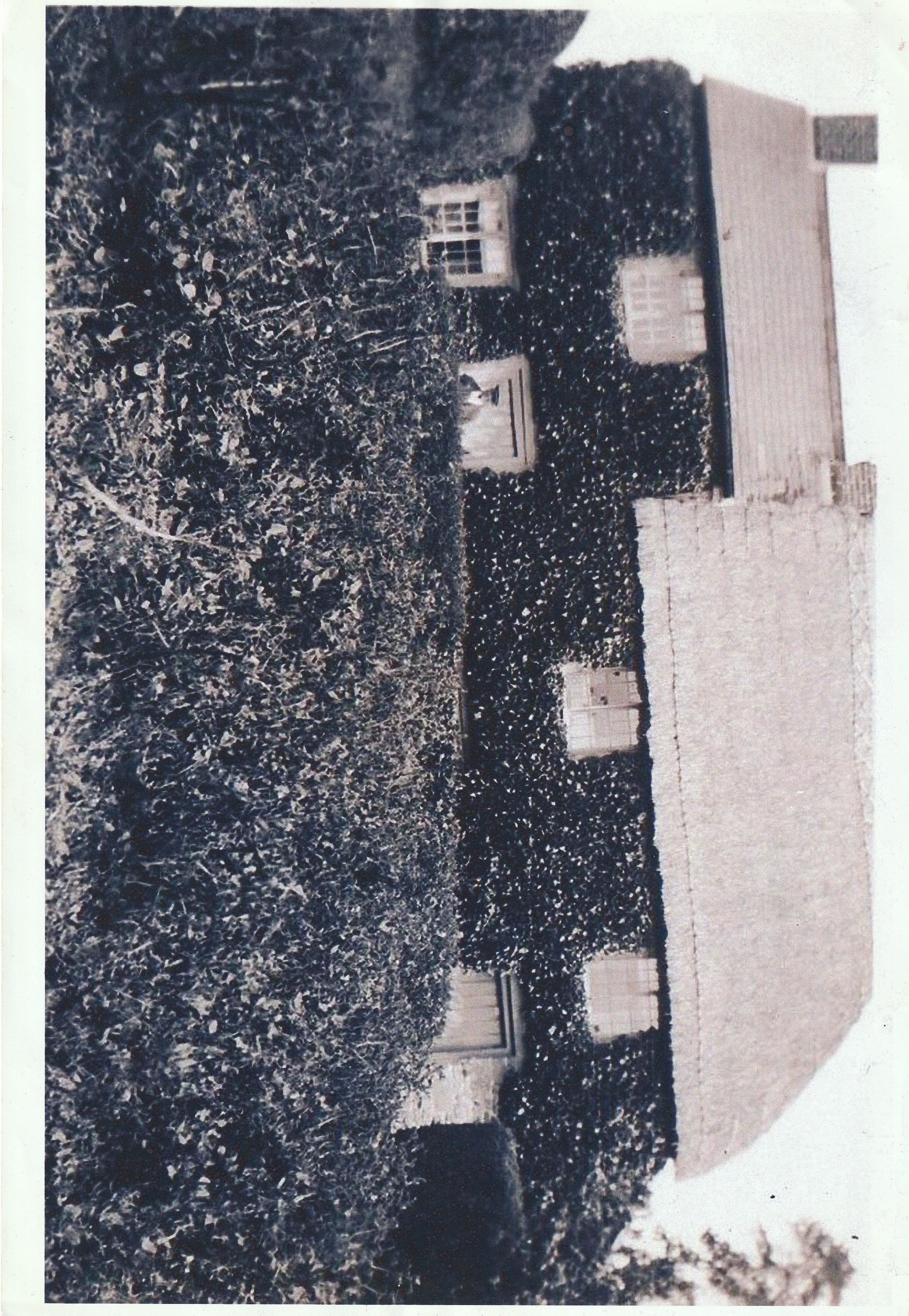 lots cottage 1930s40s